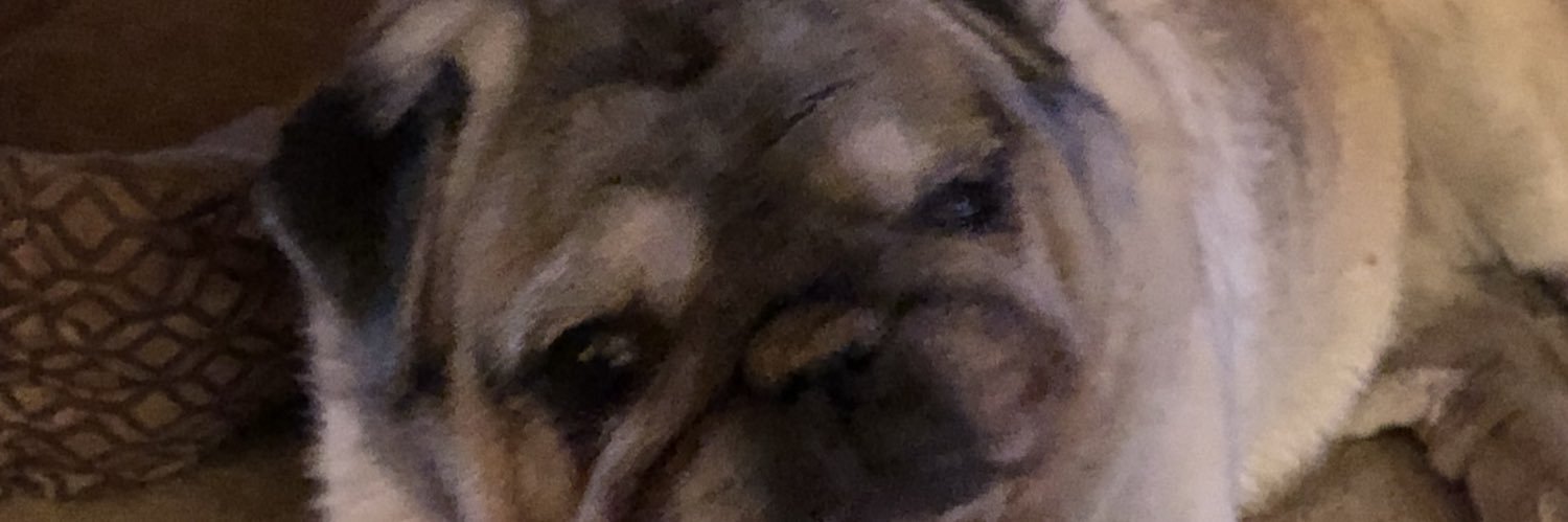 barb5154's profile banner image