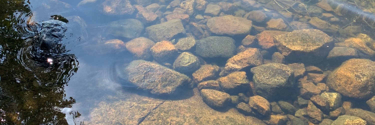 Marcus Bendtsen banner