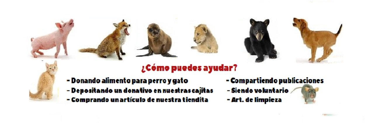 vproanimal's profile banner image