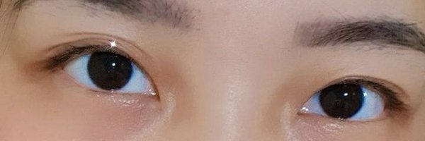 Ynwid Profile Banner