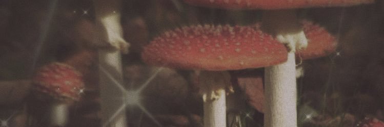 richhellee's profile banner image