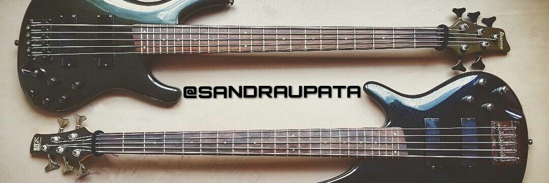 SandraupaTA's profile banner image