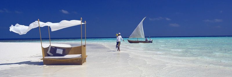 Rebel with a cause banner