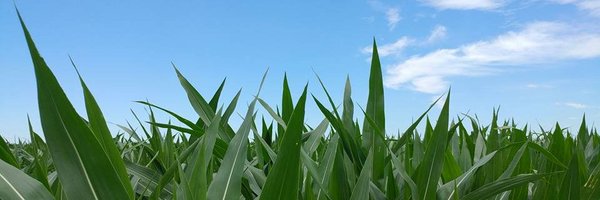 Julie_Busse Profile Banner