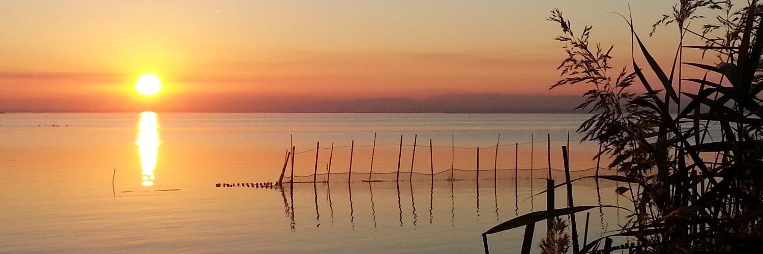 Isabel_Ruiz's profile banner image