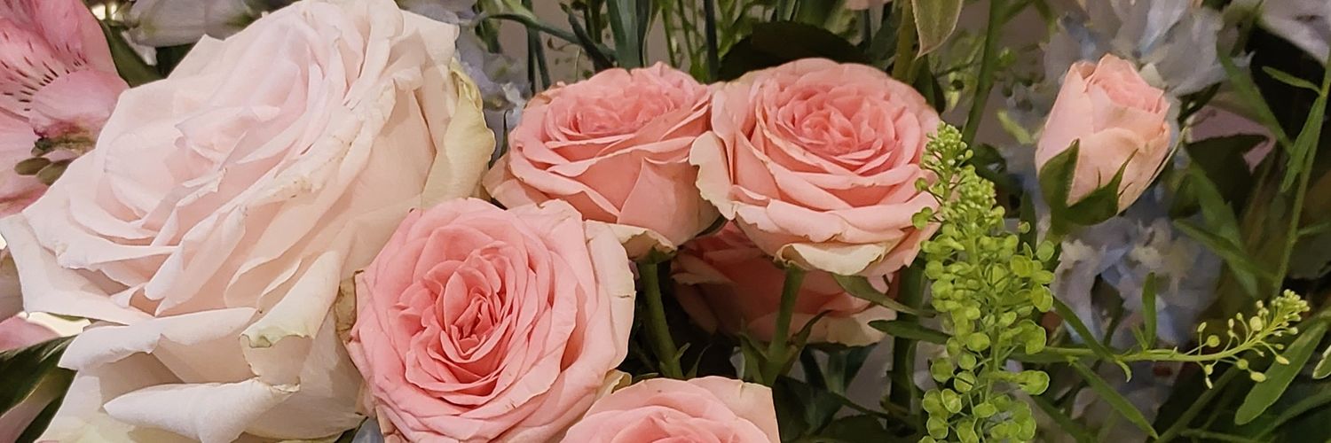 ᗰᔕ ᑕᗩT banner