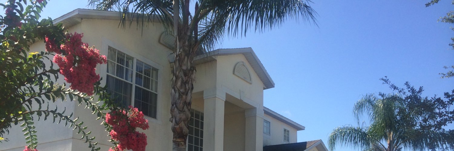 Allie banner