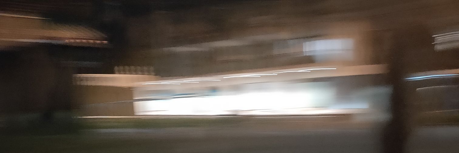 Bernard Cohen banner