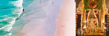 tantry_b's profile banner image