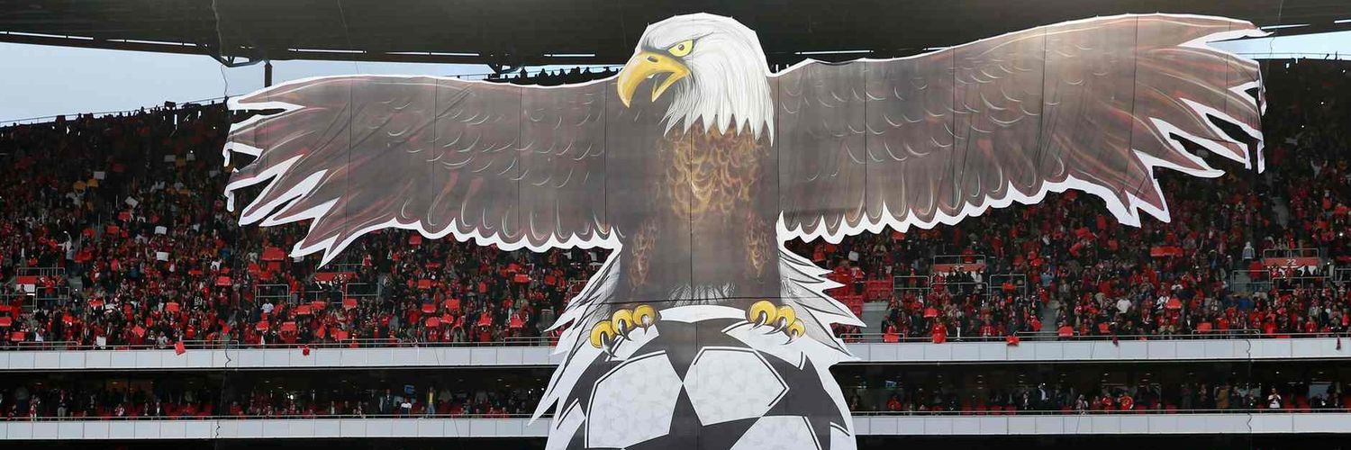 Crownleyian's profile banner image