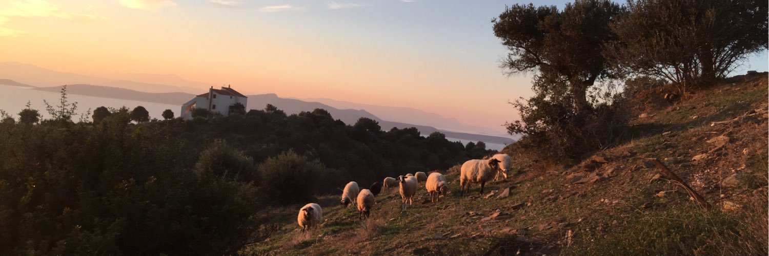 Pieter de Rijk banner