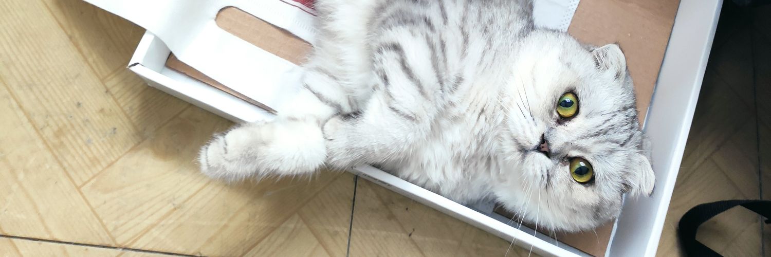 bigmyb's profile banner image
