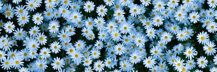 laaaaurenmarie's profile banner image