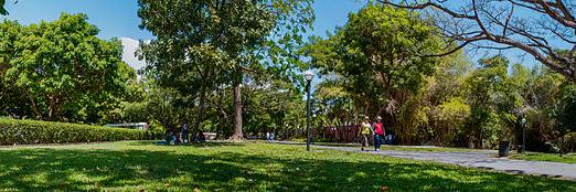 Carmelo Ecarri banner