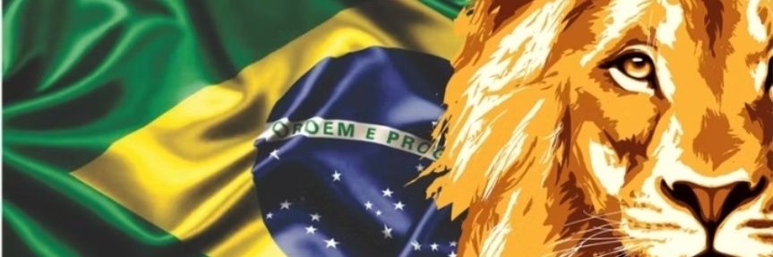 vicasc's profile banner image