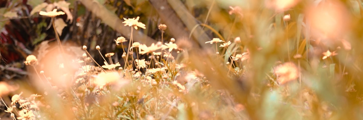 jmcruth's profile banner image
