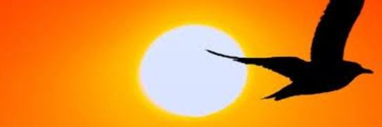 Ilnanni2's profile banner image