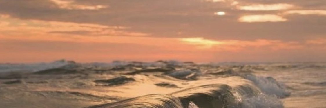 Lidia_22's profile banner image