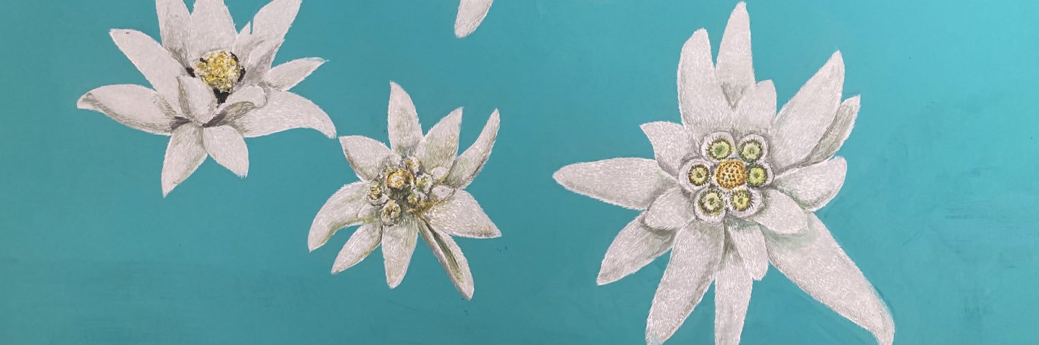 𝐏𝐚𝐮𝐥 banner