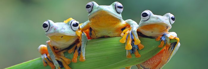 smiling_cactus's profile banner image