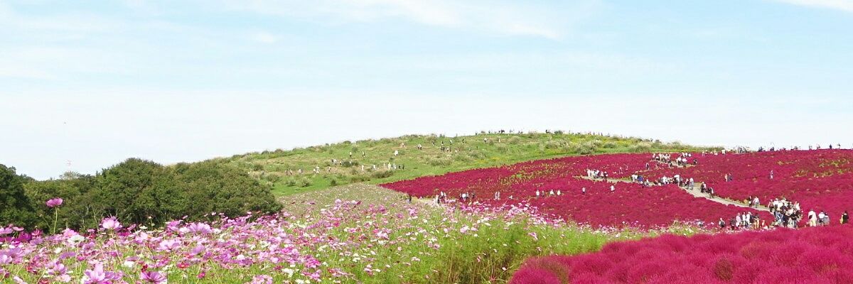 91na's profile banner image