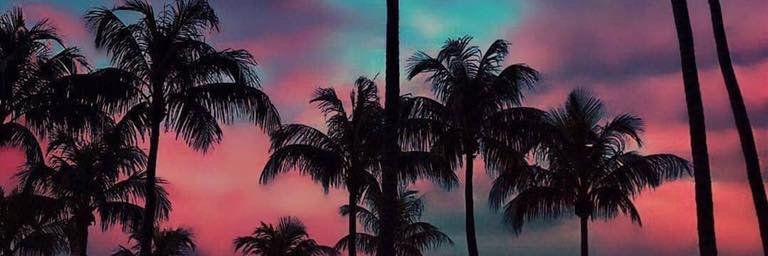 seaniemichael's profile banner image