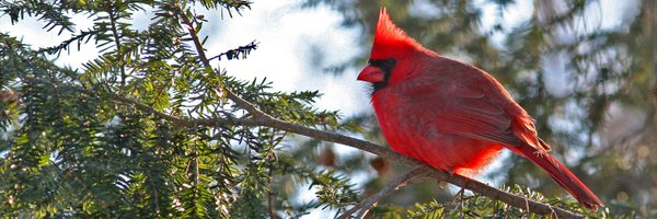 LanarkCounty Profile Banner