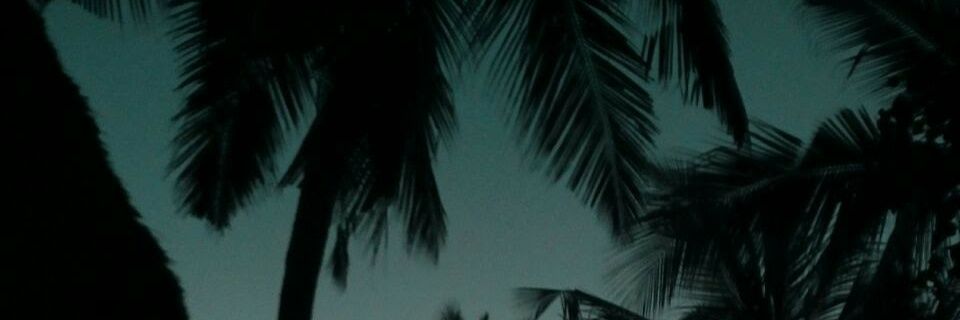 nimohKibe's profile banner image