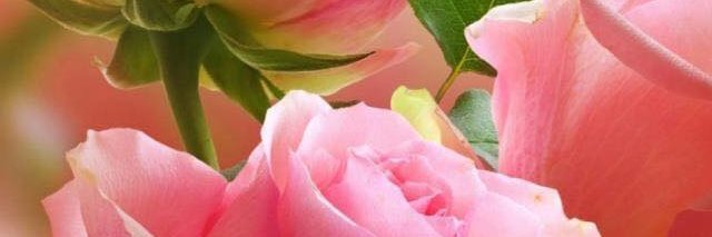 mnanouchecsb's profile banner image