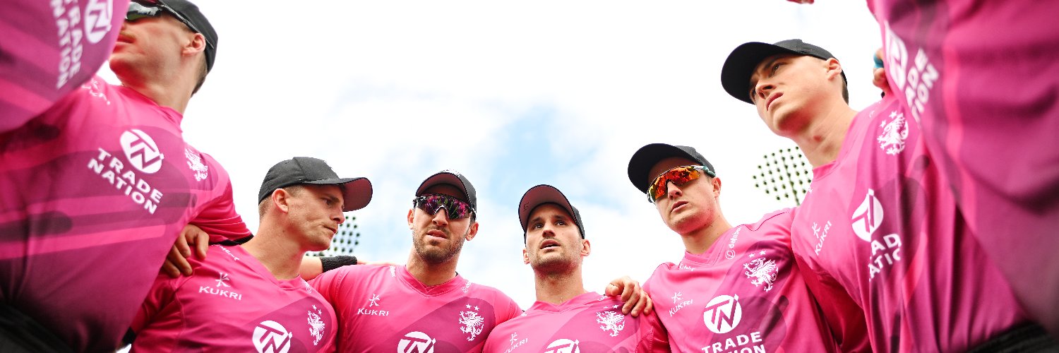 Somerset Cricket's banner