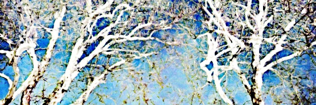 DAZ_54's profile banner image