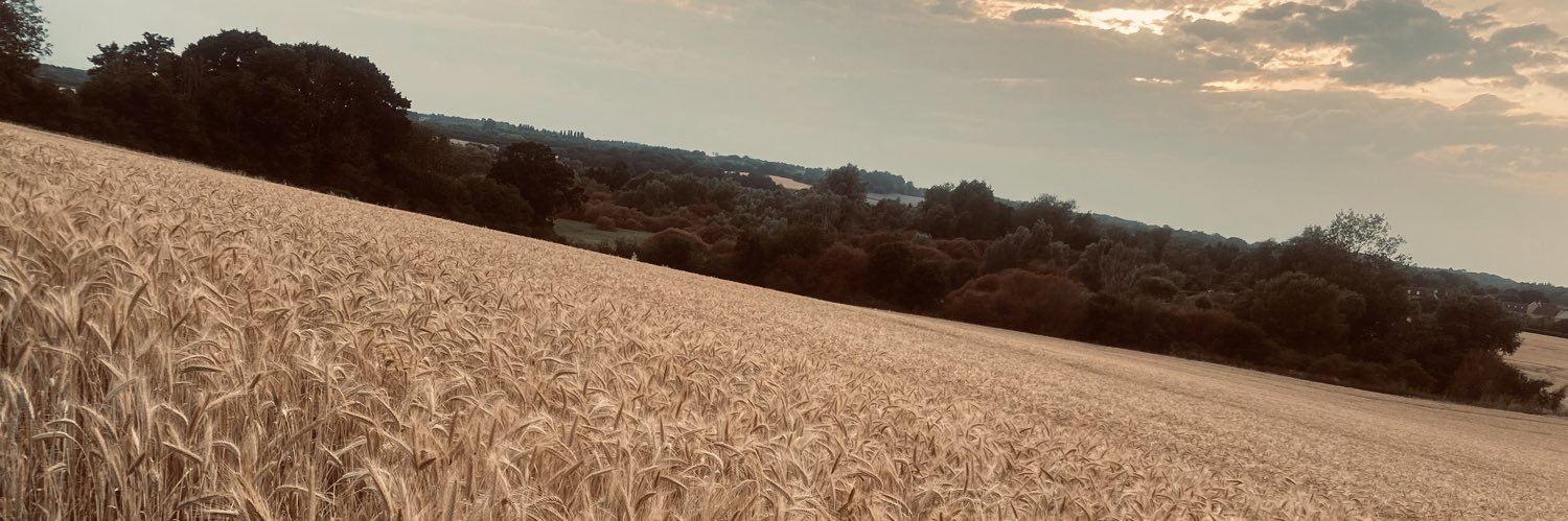 Callum Britton banner