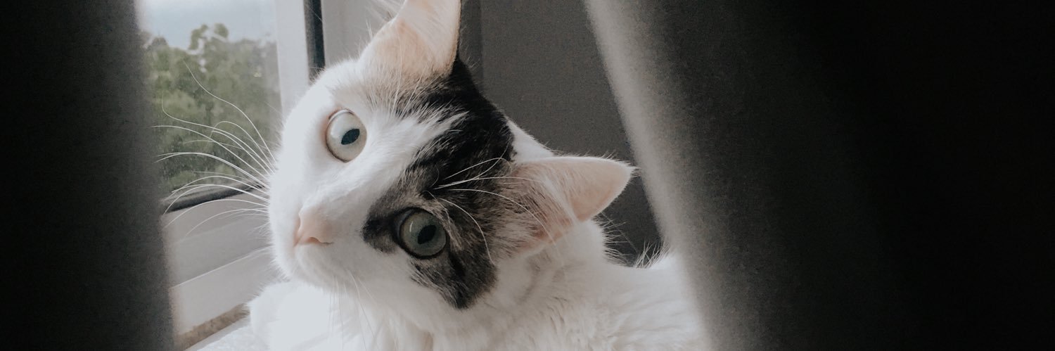 bsallesl's profile banner image
