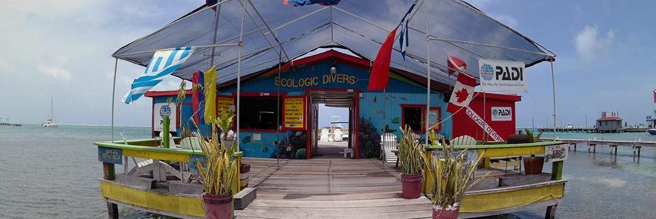 ecologicdivers's profile banner image
