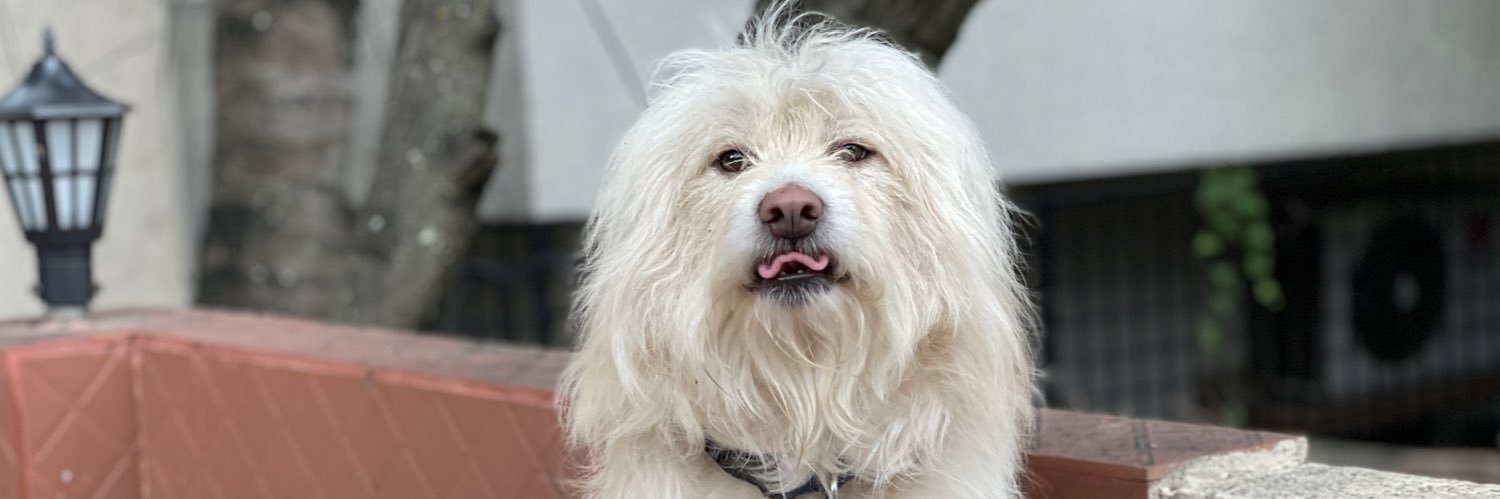 Siddarth Asokan banner