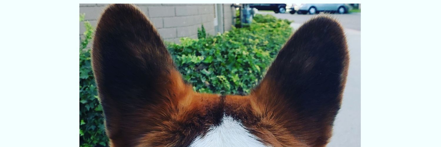 KrisAvina's profile banner image