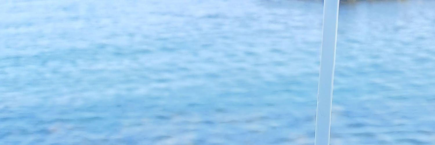cholsillox's profile banner image