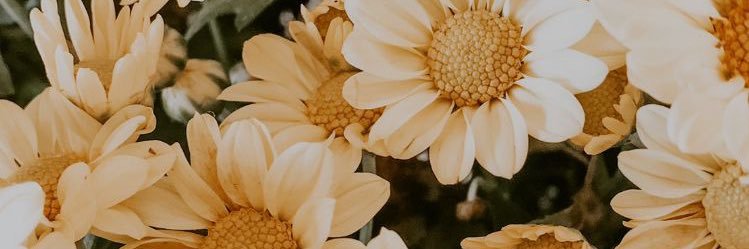 markko__polo's profile banner image