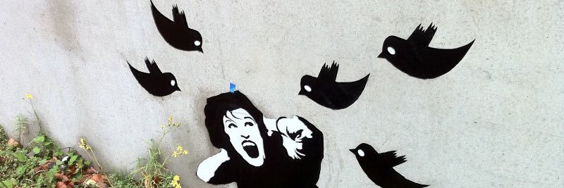 dwsnyc's profile banner image