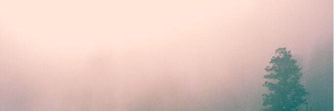 toddmparker's profile banner image