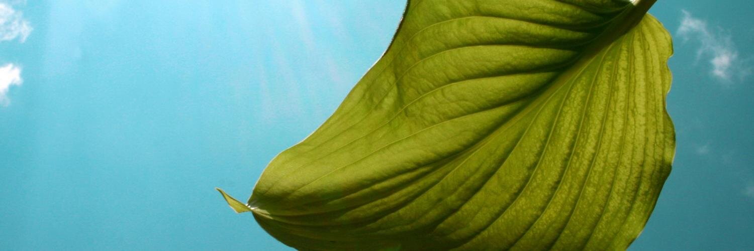 mpsmurthy's profile banner image