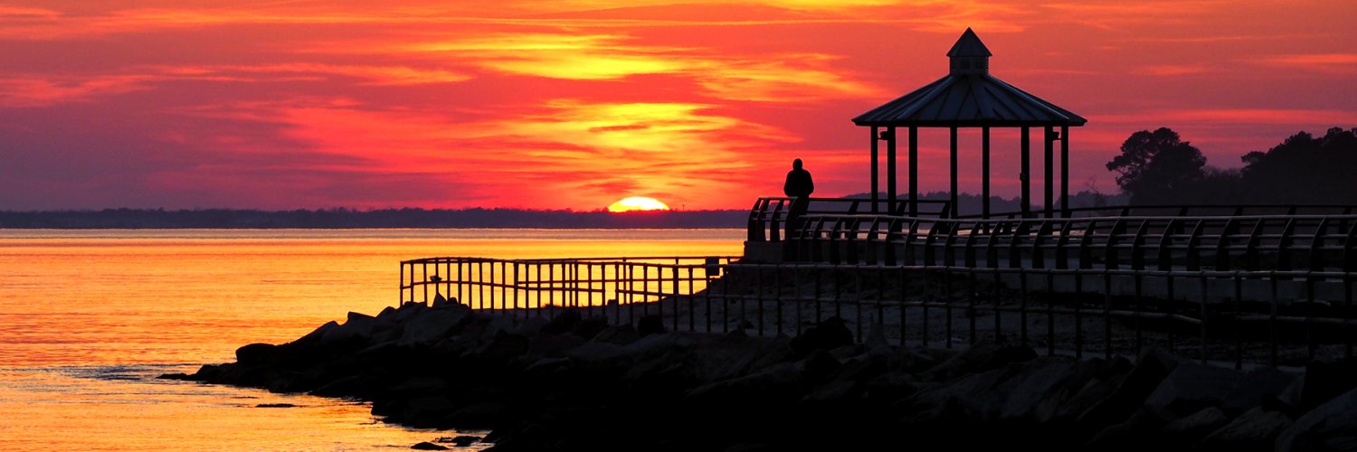 Bill Swartwout Photography's banner