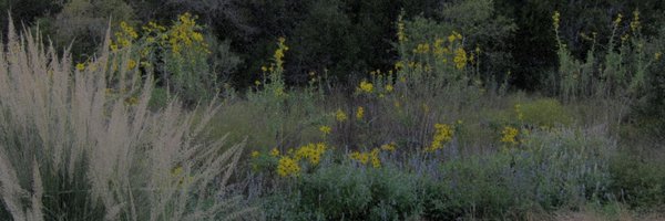 Native Plant Society of Texas Profile Banner