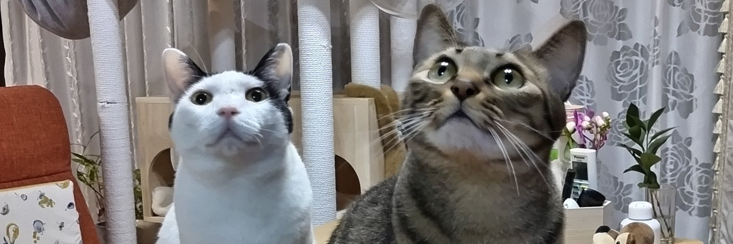 tsubatch's profile banner image