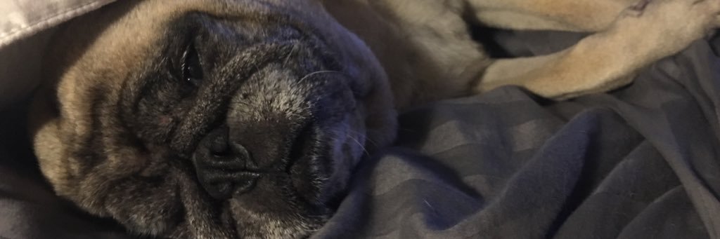 bryanadammeier's profile banner image