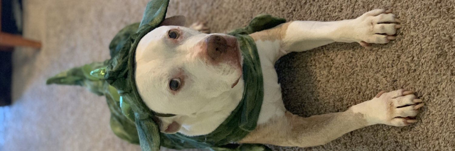 BEAUxBRADY's profile banner image