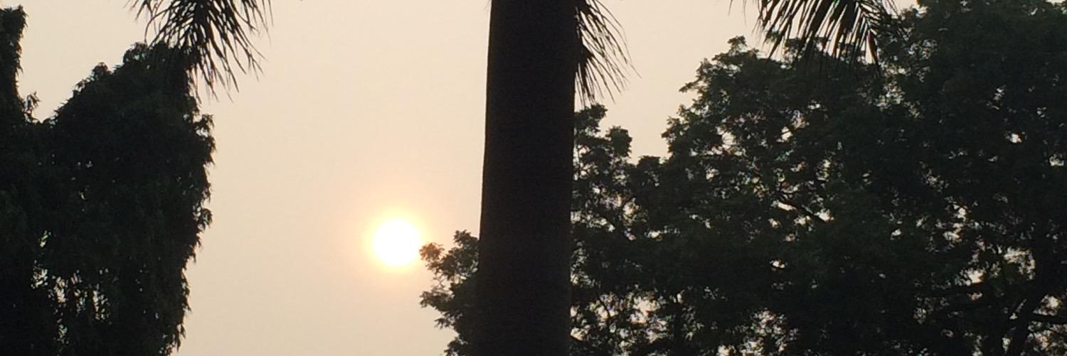 Eminence Grise 😎 banner