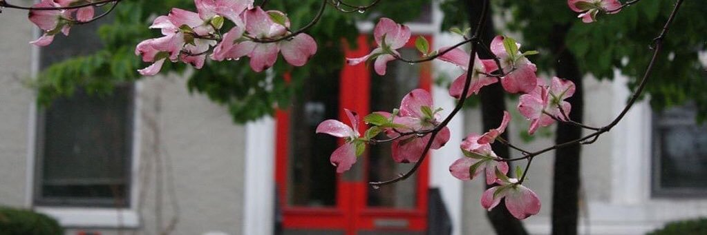 CraneHouse's profile banner image