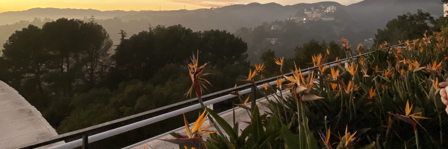 urbanisms's profile banner image