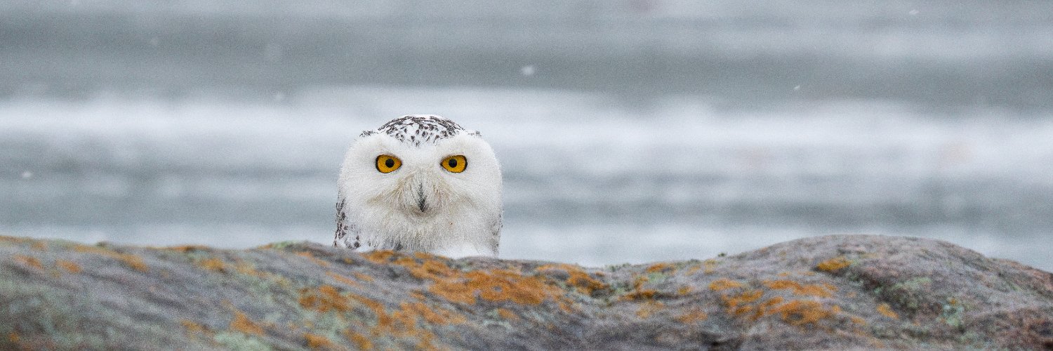 Canadian Geographic's banner